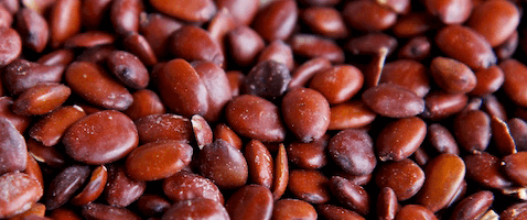 carob seeds carob seeds