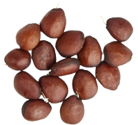 carob seeds